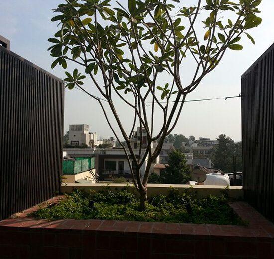 86 Navjiwan residence image 2
