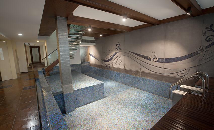 S-353 Panchsheel Park private indoor swimming pool